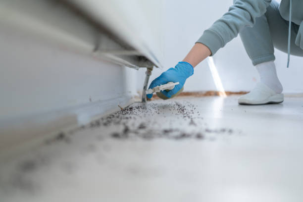 Best Affordable Pest Control Services  in Gra Forks, ND