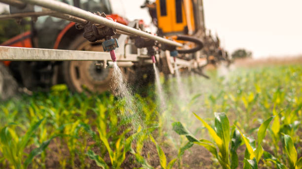Best Pest Control Treatment  in Gra Forks, ND